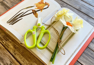 Sakagen Flower Scissors Lime Green