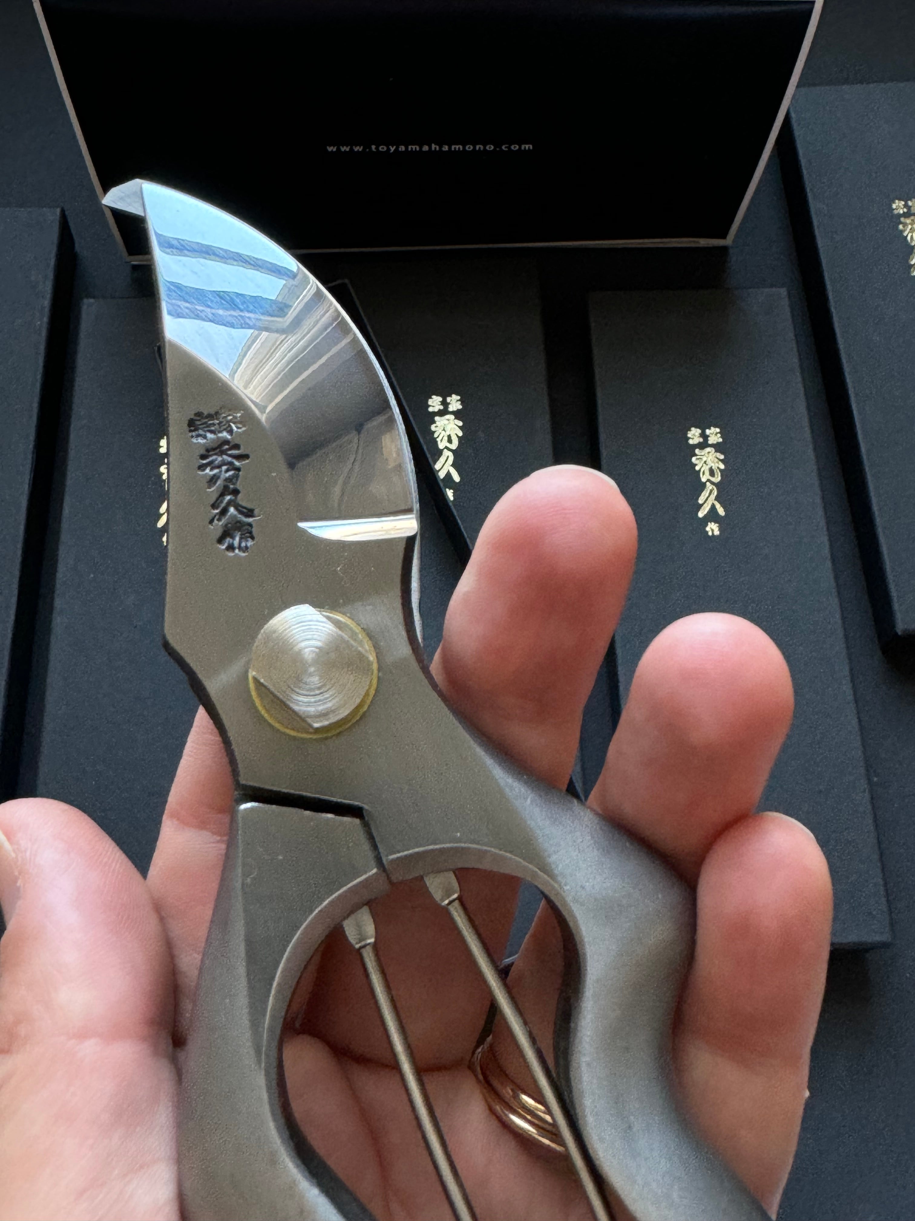 Stainless Steel Japanese Secateur T-513 size: 8”/200 mm, Toyama Hamono