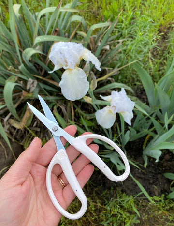 Flower arrangement and gardening Chikamasa scissors CRI-360SFW
